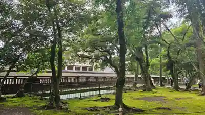 出雲大社(島根県)