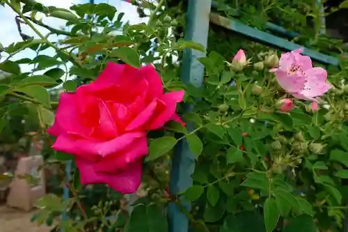 おふさ観音（観音寺）の庭園