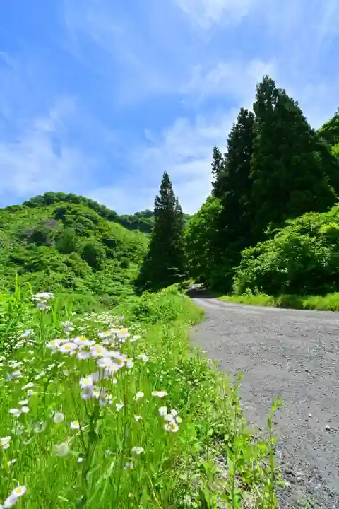 高龍神社 奥之院(新潟県)