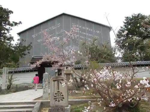 仁和寺の庭園