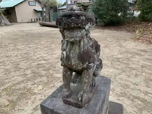 石上神社の狛犬