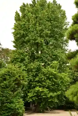 神門寺(島根県)