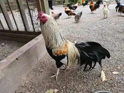 石上神宮(奈良県)