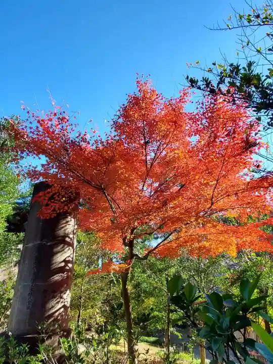 開成山大神宮(福島県)