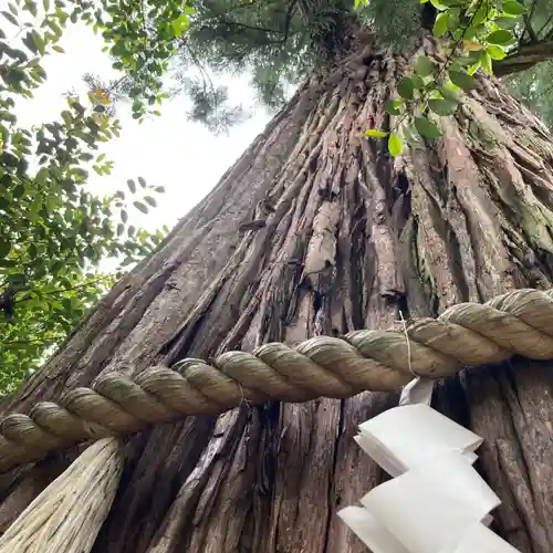 丹生川上神社（中社）の自然