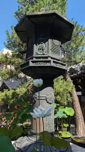 行願寺（革堂）(京都府)