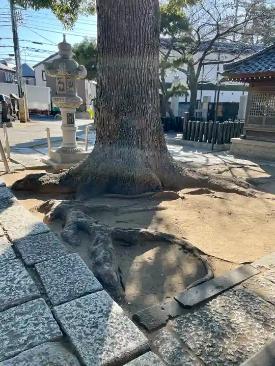 西福寺(千葉県)