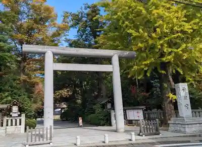 阿佐ヶ谷神明宮(東京都)