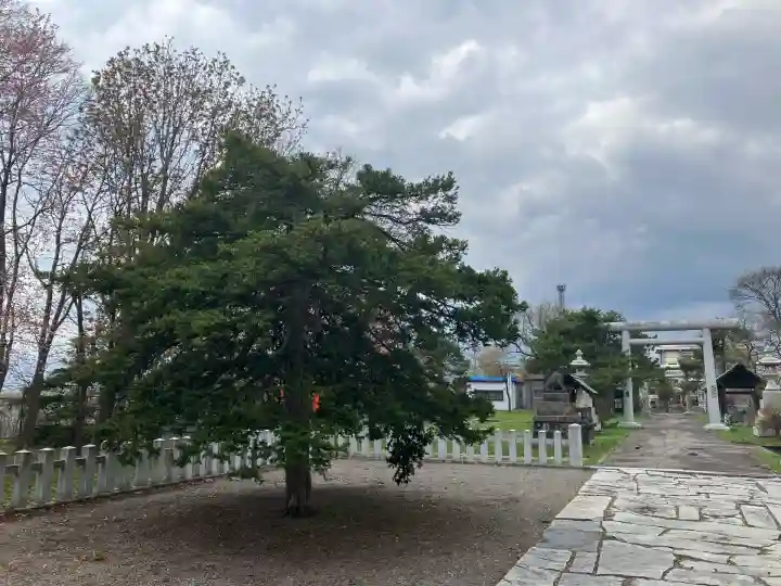 滝川神社(北海道)