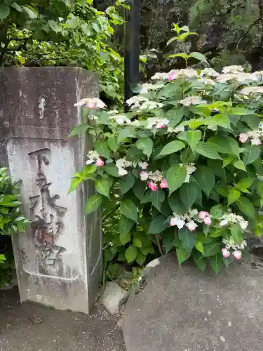 銭洗弁財天宇賀福神社(神奈川県)