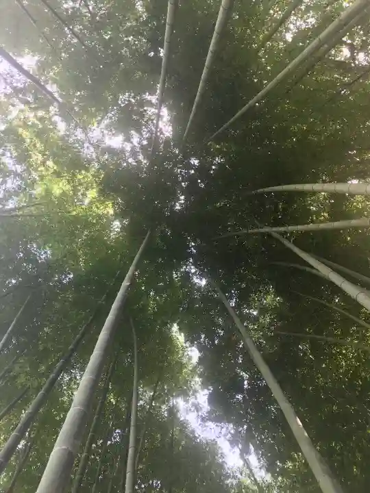 明月院(神奈川県)