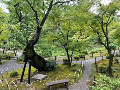 等持院(京都府)