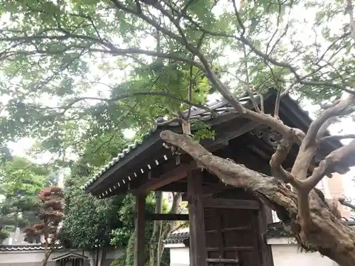 妙法寺の山門