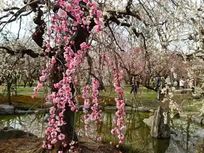 北野天満宮(京都府)