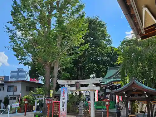 川越八幡宮(埼玉県)