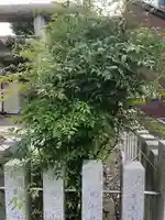 神明神社(福井県)