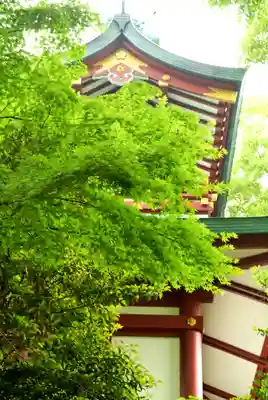 多摩川浅間神社(東京都)