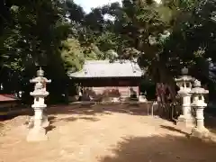 白鳥神社（白鳥町）の本殿