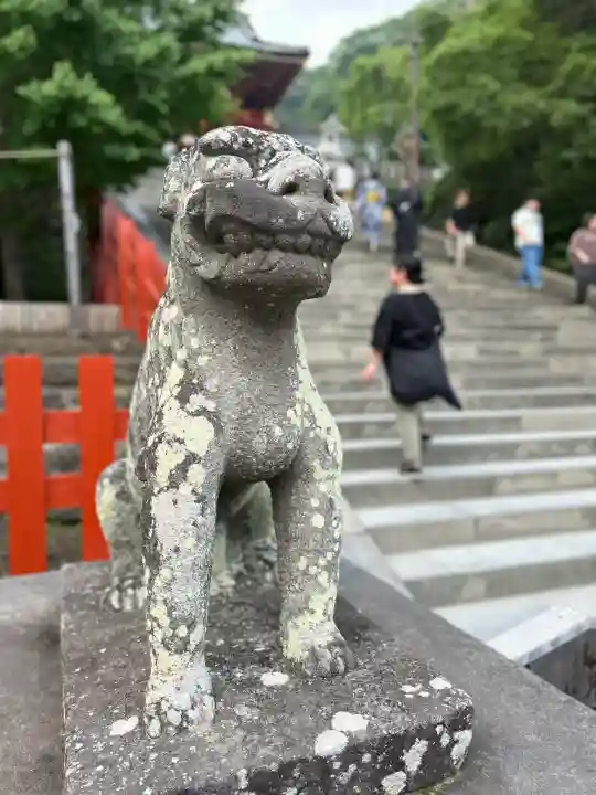 鶴岡八幡宮の狛犬