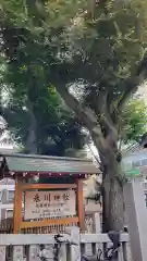 高円寺氷川神社の歴史