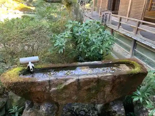 青蓮院門跡の手水舎