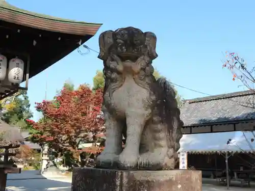 今宮神社の狛犬