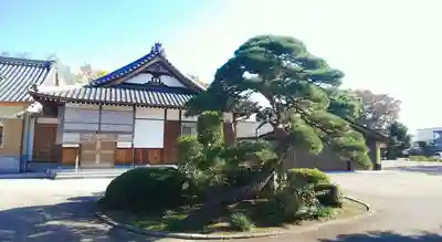 妙顕寺の本殿・本堂