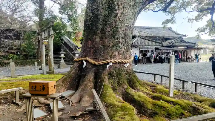 事任八幡宮(静岡県)