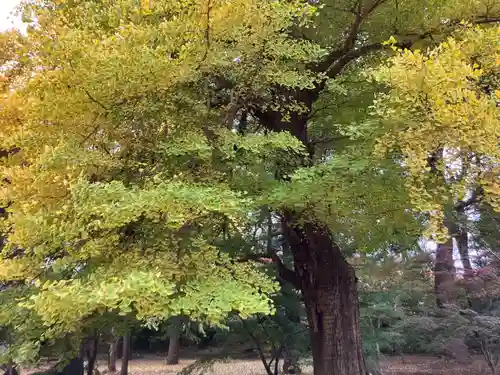 淨眞寺(東京都)