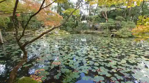 南禅寺の{uncategorized: "未分類", other: "その他", undefined: "問題あり", building: "その他建物", grave: "お墓", sacred_gate: "鳥居", guardian: "狛犬", statue: "像", buddha: "仏像", history: "歴史", nature: "自然", garden: "庭園", animal: "動物", pagoda: "塔", temizu: "手水舎", mountain_gate: "山門・神門", sanctuary: "本殿・本堂", subordinate: "末社・摂社", art: "芸術", scenery: "景色", jizo: "地蔵", ema: "絵馬", goshuin: "御朱印", omikuji: "おみくじ", items: "授与品その他", amulet: "お守り", goshuincho: "御朱印帳", eats: "食事", festival: "お祭り", votive_dance: "神楽", shichigosan: "七五三参", wedding: "結婚式", experience: "体験その他", initially: "初詣", around: "周辺", anti_infection: "感染症対策"}