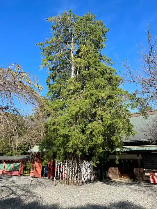富士山本宮浅間大社のその他建物