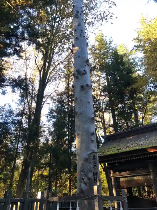 諏訪大社下社春宮(長野県)