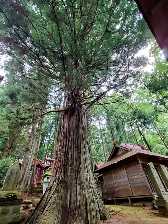 川辺八幡神社(福島県)