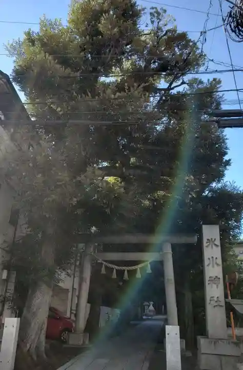 中野氷川神社の鳥居