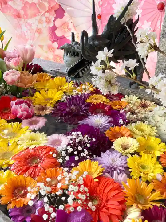 札幌諏訪神社の手水舎