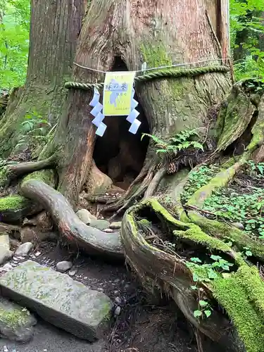 戸隠神社奥社(長野県)
