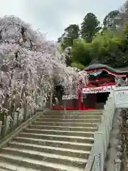 小川諏訪神社の建物その他