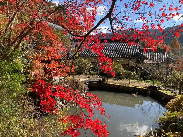 大国寺(兵庫県)