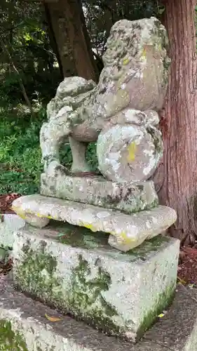 縣主神社の狛犬