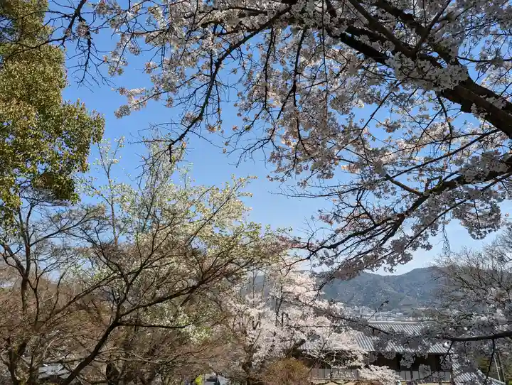 岩屋寺(京都府)