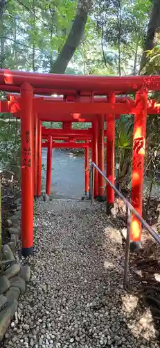 白笹稲荷神社の鳥居