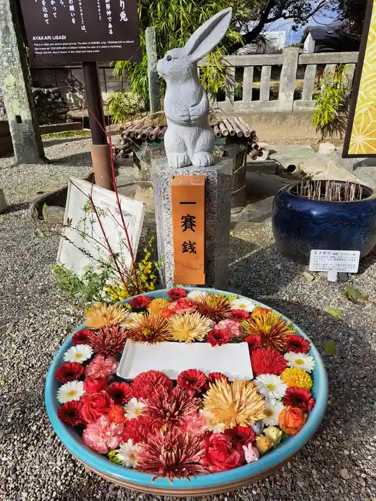 大御和神社(徳島県)
