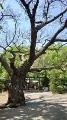 相馬神社の自然