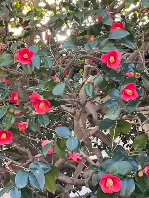 隨心院(随心院)(京都府)