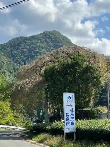 長泉院(埼玉県)