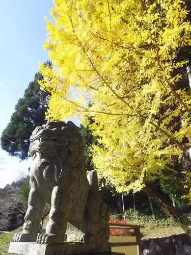 高賀神社の狛犬