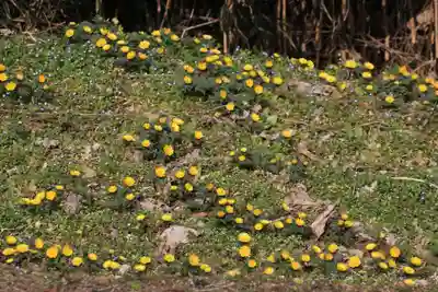 正観音堂の自然