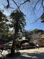 江島神社(神奈川県)