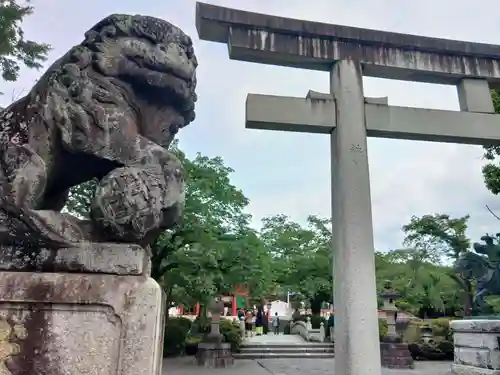 富士山本宮浅間大社の狛犬