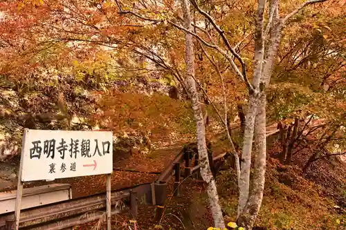 西明寺(京都府)